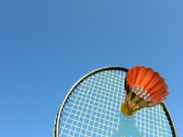 Badminton Software